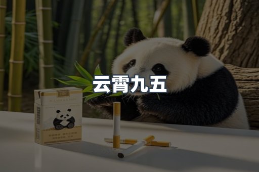 云霄九五
